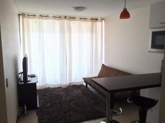 Arriendo Depto Por Dias En *